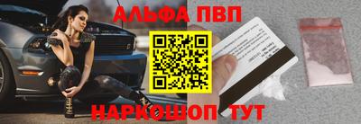 спайс Кингисепп