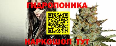 трава Канаш
