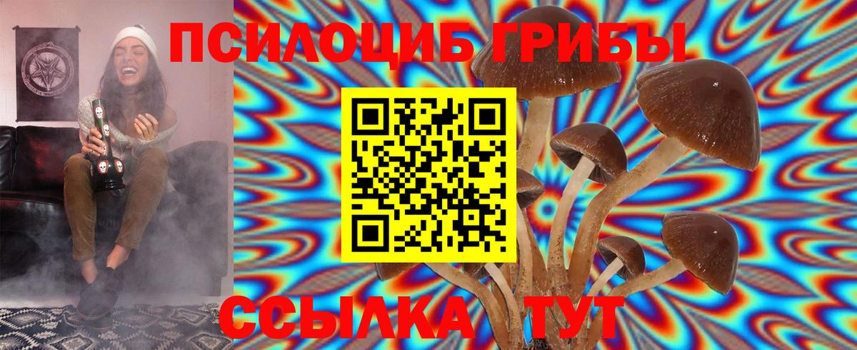 Коряжма  Галлюциногенные грибы Psilocybine cubensis  как найти закладки  Вход с VPN 