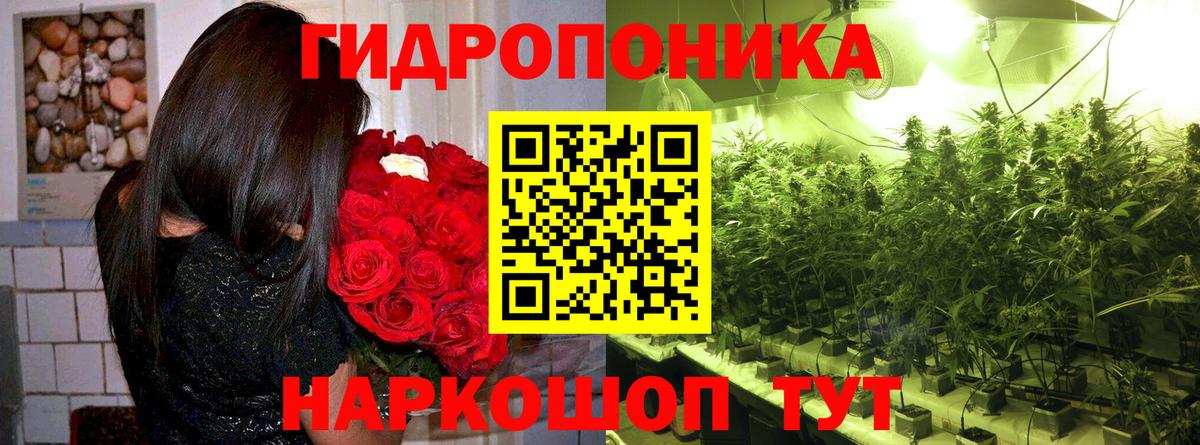 МАРИХУАНА Bruce Banner  Вход с VPN  Бошки Шишки ГИДРОПОН  Коряжма  Бошки марихуана конопля  Бошки марихуана ГИДРОПОН 